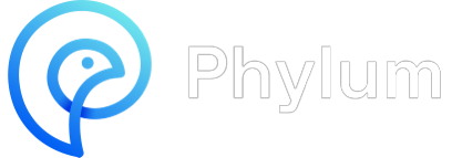 Phylum